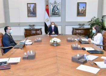 Sisi calls upon gov’t to document all state efforts over past years