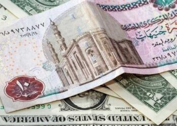 Foreign currency reserves hike, dollar drops against Egyptian pound