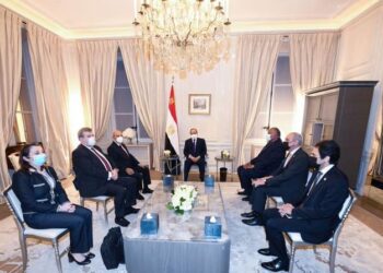 Sisi lauds fruitful defense co-operation between Egypt, France
