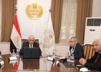 Egypt, China probe development of education