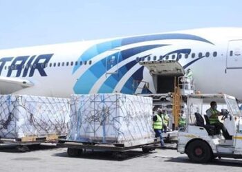 Sinovac raw materials in Cairo