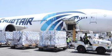 Sinovac raw materials in Cairo