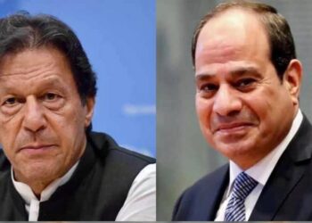Pakistan premier lauds Egypt-brokered Gaza ceasefire