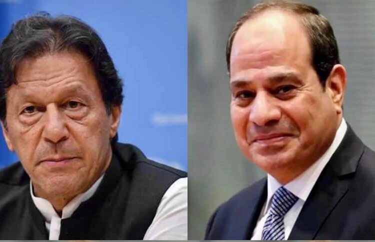 Pakistan premier lauds Egypt-brokered Gaza ceasefire 2 - Egyptian Gazette Pakistan premier lauds Egypt-brokered Gaza ceasefire 1 - Egyptian Gazette