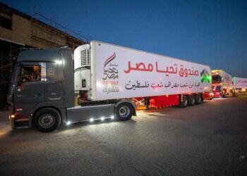 Egypt sends aid convoys to Gaza residents upon presidential directives