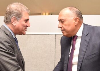 Pakistan FM hails Egypt’s efforts to reach ceasefire between Palestinian, Israeli sides