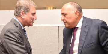 Pakistan FM hails Egypt’s efforts to reach ceasefire between Palestinian, Israeli sides