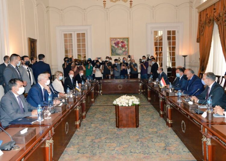 FM stresses need to build on ceasefire deal 1 - Egyptian Gazette