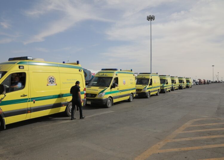 Shoukri highlights Cairo's efforts to reach Gaza ceasefire 1 - Egyptian Gazette