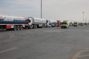 Shoukri highlights Cairo's efforts to reach Gaza ceasefire 3 - Egyptian Gazette