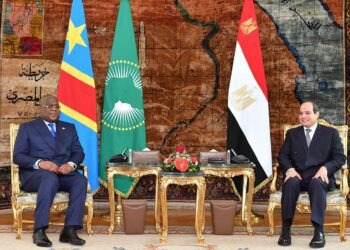 President Abdel Fattah El Sisi during meeting with the President of the Democratic Republic Congo, Félix Tshisekedi