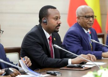 Egypt rejects Ethiopian PM’s statements on establishing many Nile dams