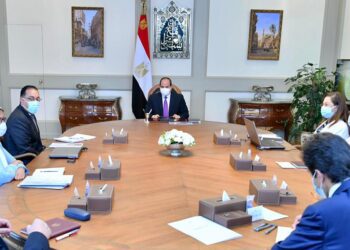 Sisi for striking balance between population, economic growth rates 