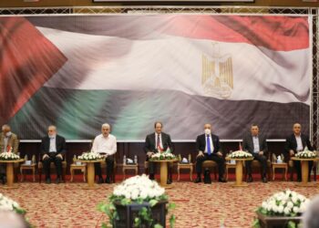 Sisi: Egypt exerting enormous effort to stabilise ceasefire 
