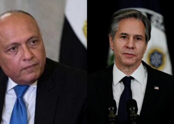 Shoukry, Blinken discuss developments in Palestine