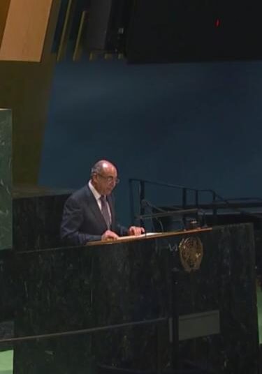 Cairo presses for lasting ceasefire, protection of Palestinian lives 1 - Egyptian Gazette