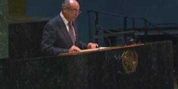 Cairo presses for lasting ceasefire, protection of Palestinian lives