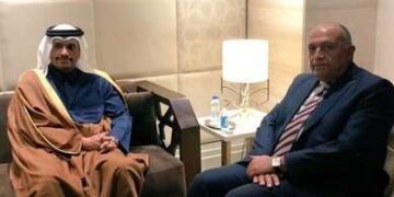 Egypt, Qatar FMs underscore need of ceasefire in Palestine