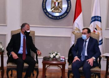 Egypt, USA on boosting petroleum ties