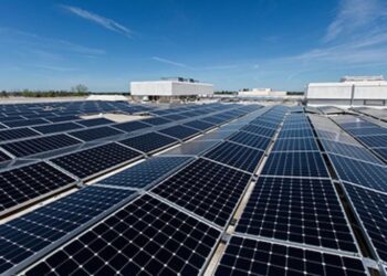 France’s investments in Egypt hit $349 million in 2020: CAPMAS