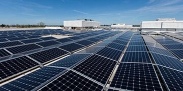 France’s investments in Egypt hit $349 million in 2020: CAPMAS