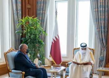 Sisi invites Qatari emir to visit Egypt as soon as possible