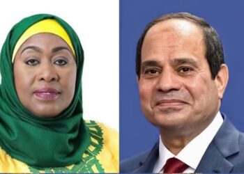 In phone call with Tanzanian president: Sisi stresses need to reach legally binding GERD deal