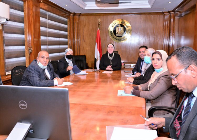 Minister of Trade and Industry Nevine Gamea during meeting via video link