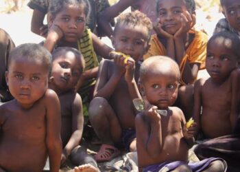 WFP: Communities in Madagascar on verge of famine