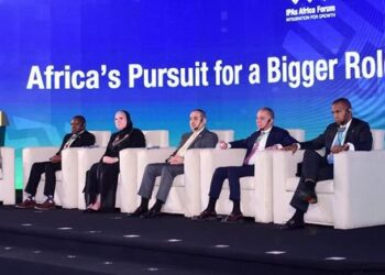 Egypt carrying out mega transport, air, trade projects with Africa