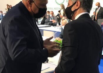 FM, his US counterpart discuss GERD file