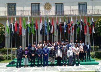 Nasser Fellowship team visits Arab League