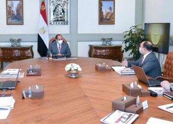 Sisi for boosting role of private sector as key partner in economic growth