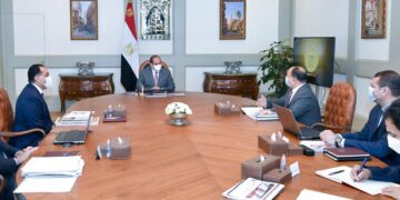 Sisi for boosting role of private sector as key partner in economic growth