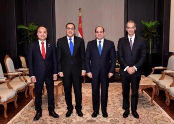 ICT sector witnesses key achievements in Sisi era