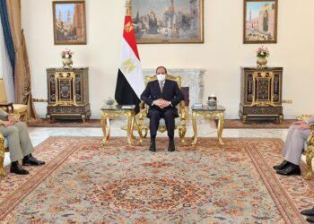 Egypt, Pakistan agree to move ahead with coordination, fighting terrorism