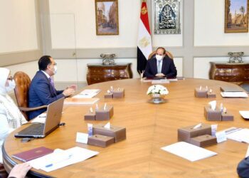 Sisi reviews efforts to import, produce Covid-19 vaccines