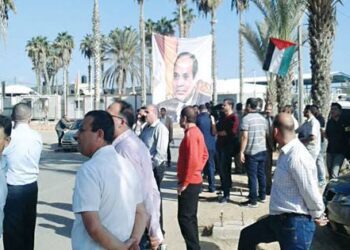 Sisi urges swift action to achieve stability in Palestine