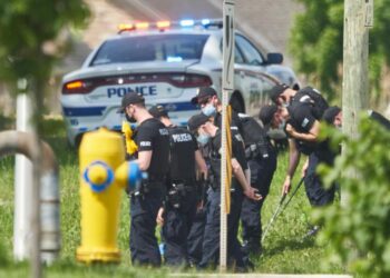 Egypt condemns killing of Muslim family in Canada terrorist attack