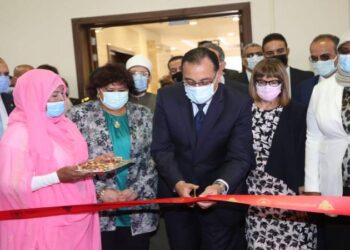 Cairo International Book Fair opens for visitors, Alexandria building collapse and more in the News Digest