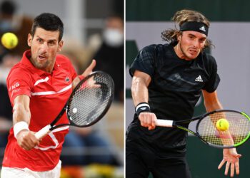 Djokovic reaches French Open final