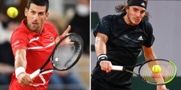 Djokovic reaches French Open final