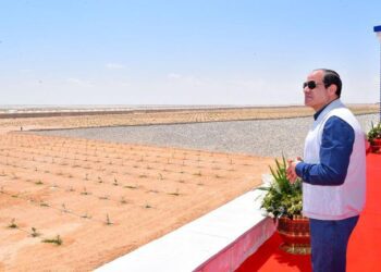 Renaissance of agriculture