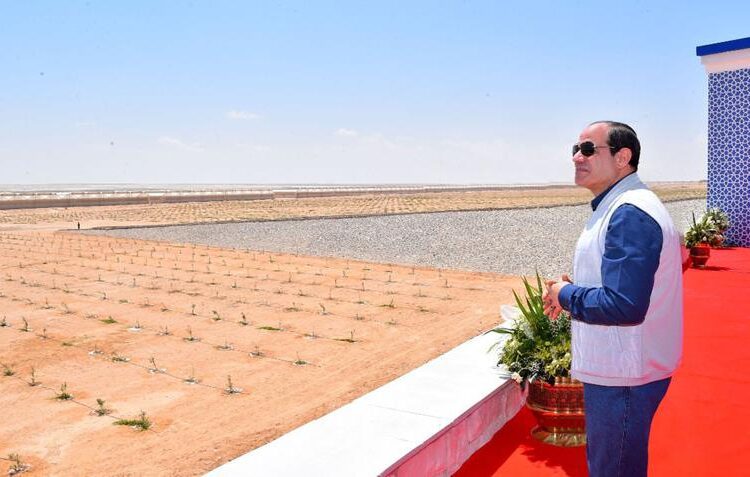 President Abdel Fattah El Sisi