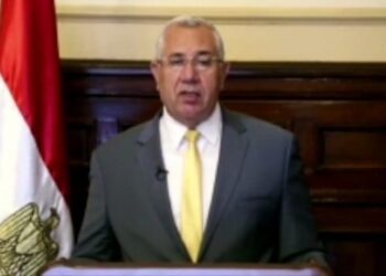 Sisi warns giant dams hinder equitable distribution of water