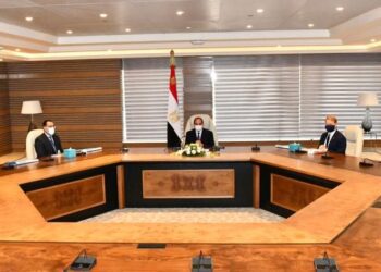 President reviews details of mega national petrochemicals project