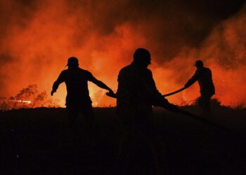 Cairo stands  in solidarity  with Ankara  over forest fires