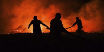 Cairo stands  in solidarity  with Ankara  over forest fires