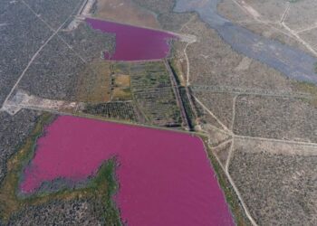 Environmentalists: Argentina lakes turn pink