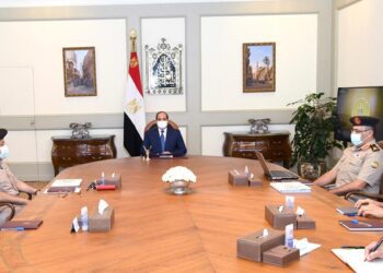 Sisi calls for expanded localisation of clean energy-powered auto industry